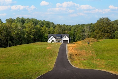 287 Cold Springs Rd, Ellijay, GA 30540 - photo 2