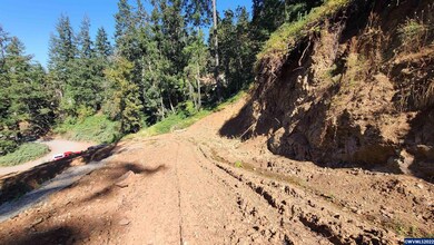 4125 Jackson Ln NE, Silverton, OR 97381 - photo 5