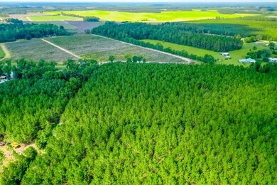 4060 County Farm Rd, Blackshear, GA 31516 - photo 4