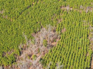 Lot 4 Fm 556, Pittsburg, TX 75686 - photo 4