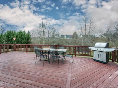 Plenty of Room to Sun, Dine and BBQ- With Mountain