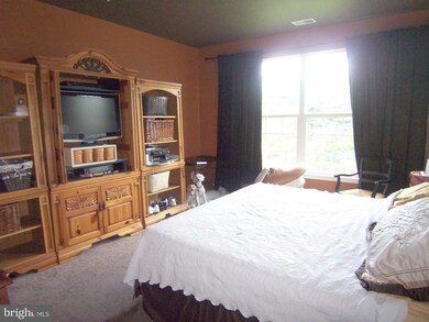 9676 Devedente Dr unit 205, Owings Mills, MD 21117 - photo 6