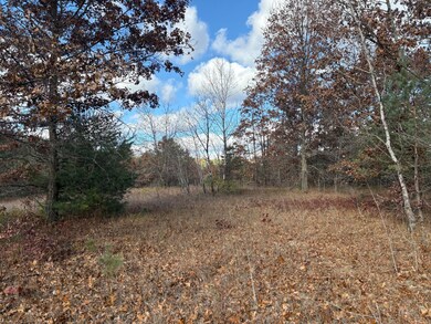 0 0 W Tamarack Rd unit 25058152, Newaygo, MI 49337 - photo 5