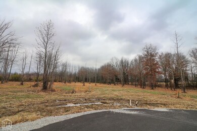 0 Diamond Valley Estates unit 10111715, Jonesboro, AR 72404 - photo 4