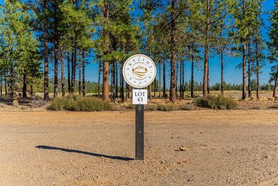 65-web-or-mls-Riley Visuals-65