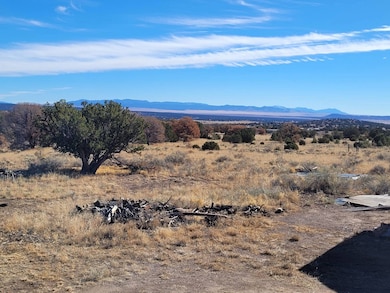 24 Hillside Cir, Datil, NM 87821 - photo 2