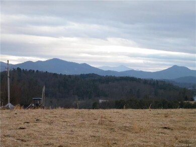 15.858 Acres Turkey Creek Rd, Leicester, NC 28748 - photo 3