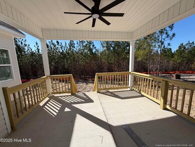 1009 Ivory Ln, West End, NC 27376 - photo 5