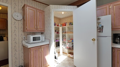 Kitchen Pantry