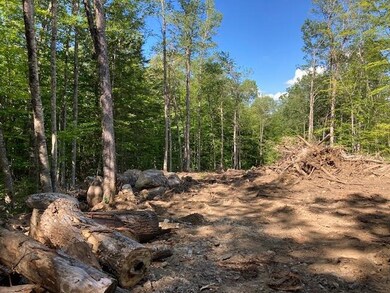 0 Old Carr Rd unit 20 4925108, Antrim, NH 03440 - photo 5