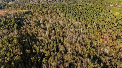 1448 County Road 3310, Jacksonville, TX 75766 - photo 6