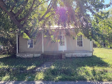 217 Baldwin Ave, Princeton, KY 42445 - photo 3