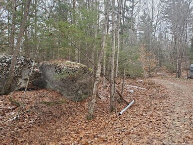 00 Morts Rd, Chesterfield, NH 03462 - photo 5