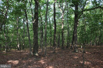 0 Dawn Heights Trail, Winchester, VA 22603 - photo 3