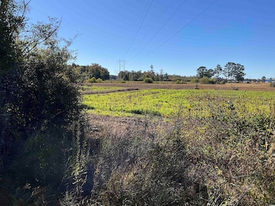 TBD Derrick Ct, Marion, SC 29571 - photo 3