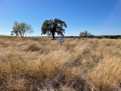Pond on other side of trees