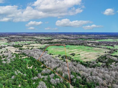 000 Fm 903 Rd, Celeste, TX 75423 - photo 5