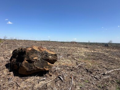 Tract#6410 Davidson Road S - W5 unit 286 +/- AC, Bonifay, FL 32425 - photo 5