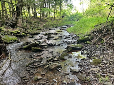 Lot 3 Oregon Rd, Gilbertsville, NY 13776 - photo 2