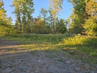 M2 L9-1 Solon Rd, Brighton Plantation, ME 04942 - photo 2