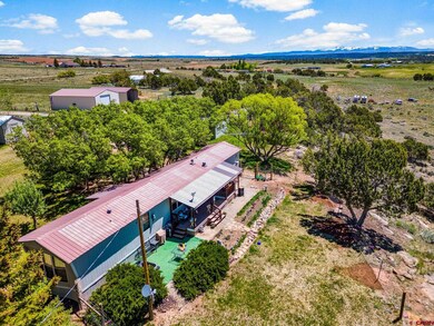 23300 Road X, Lewis, CO 81327 - photo 7