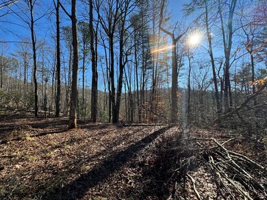 Panorama Views