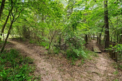 31903 Parkway St, Magnolia, TX 77354 - photo 6