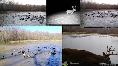 199 Robert Williams Rd, Lorman, MS 39096 - photo 3