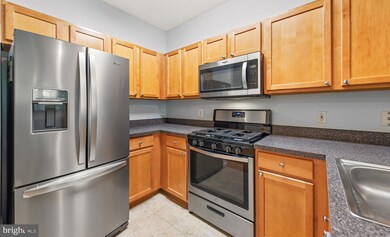 The Savoy unit 232, Reston, VA 20190 - photo 7