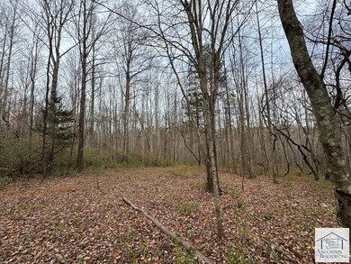 0 Pine Knoll Farms unit 145572, Stuart, VA 24171 - photo 5