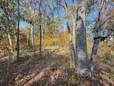 0 E Little Forest Run Rd, Reedsville, OH 45772 - photo 6