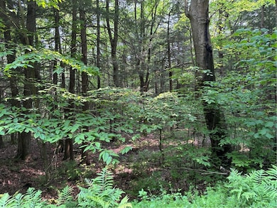 0 Spring Rd S, Ossian, NY 14437 - photo 3