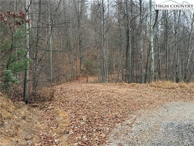 Lot 218 Casey Mountain Rd, Purlear, NC 28665 - photo 4