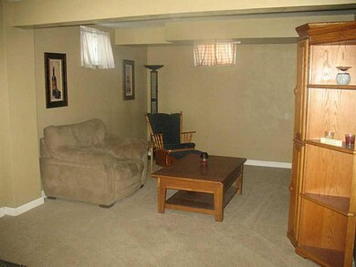 Family Room. Large lower level family room, offers