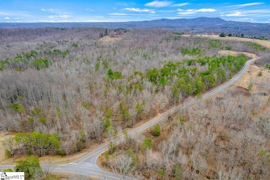 000000 Tubbs Mountain Rd, Travelers Rest, SC 29690 - photo 5