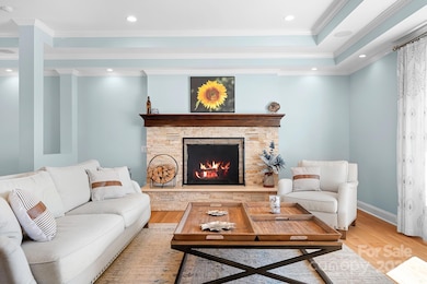 Wood burning fireplace