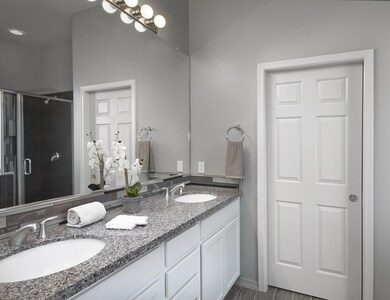 1859 Master Vanity 2