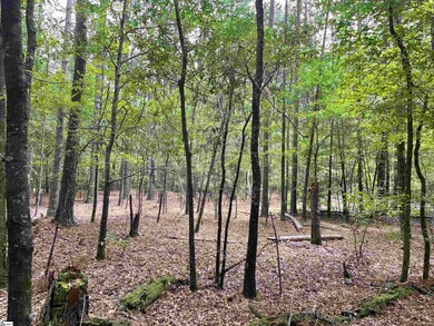 00 Clatworthy Rd, Honea Path, SC 29654 - photo 4