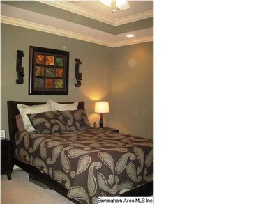 Spacious master bedroom features a tray ceiling.