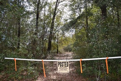 Chestnut-access2