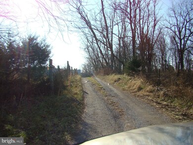 682 Bruebeck Ln, Strasburg, VA 22657 - photo 3