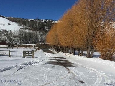 wonderful rows of trees