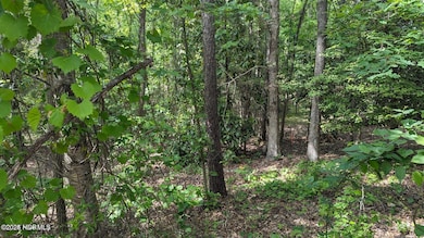 20240628042421337032000000-o