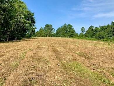 0 Stimson Rd unit 24207833, Bumpus Mills, TN 37028 - photo 6