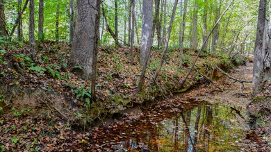 Rocky Branch Land for Sale in South Caro