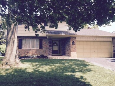 Front view shade tree
