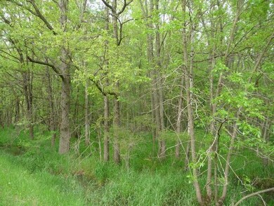 38 Ac 2nd Ave, Cutler, WI 54618 - photo 5