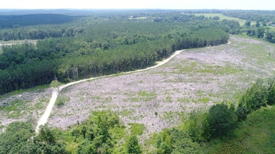 Old Meriwether Trail, Highland Home, AL 36041 - photo 4