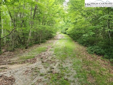 Hawk Lane