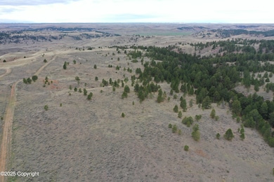 5E9E2BB8AAF077C2AD858F55D859EF44